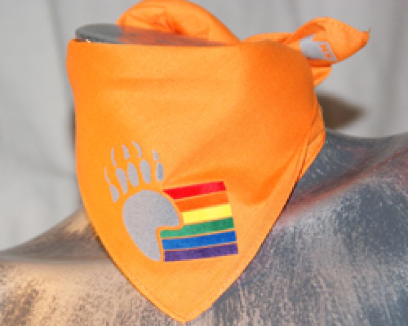 Tatze - oranges Bandana