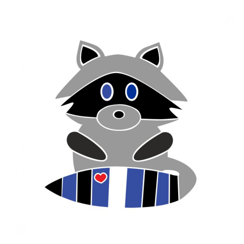 Waschbär Leder
