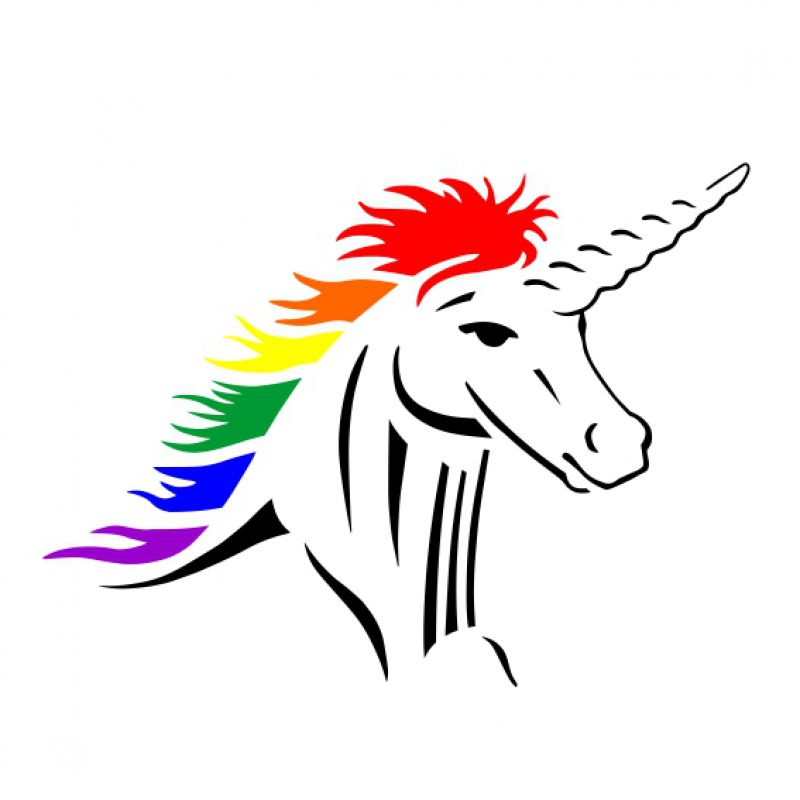Einhorn schwarz