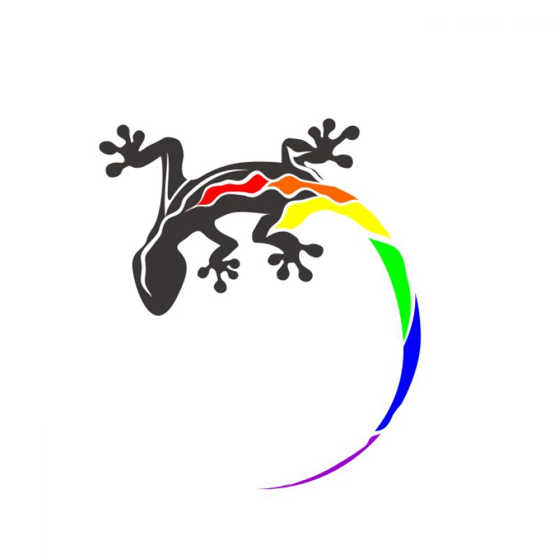 Echse schwarz Regenbogenschwanz