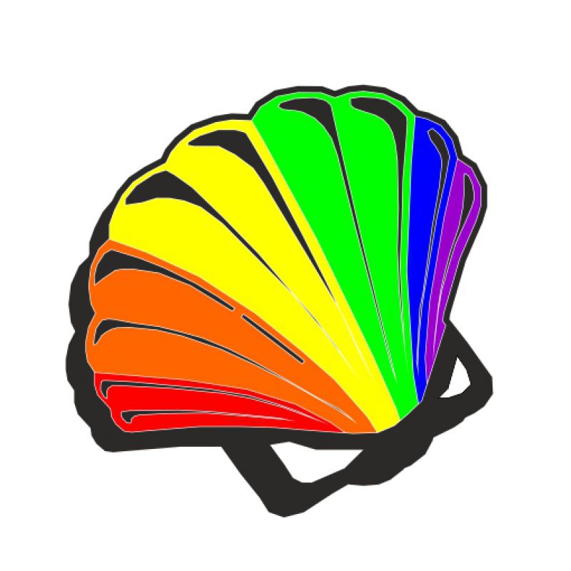 Muschel schwarz