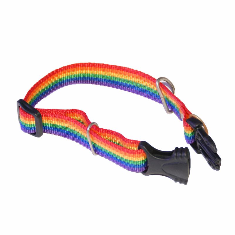 Hundehalsband klein