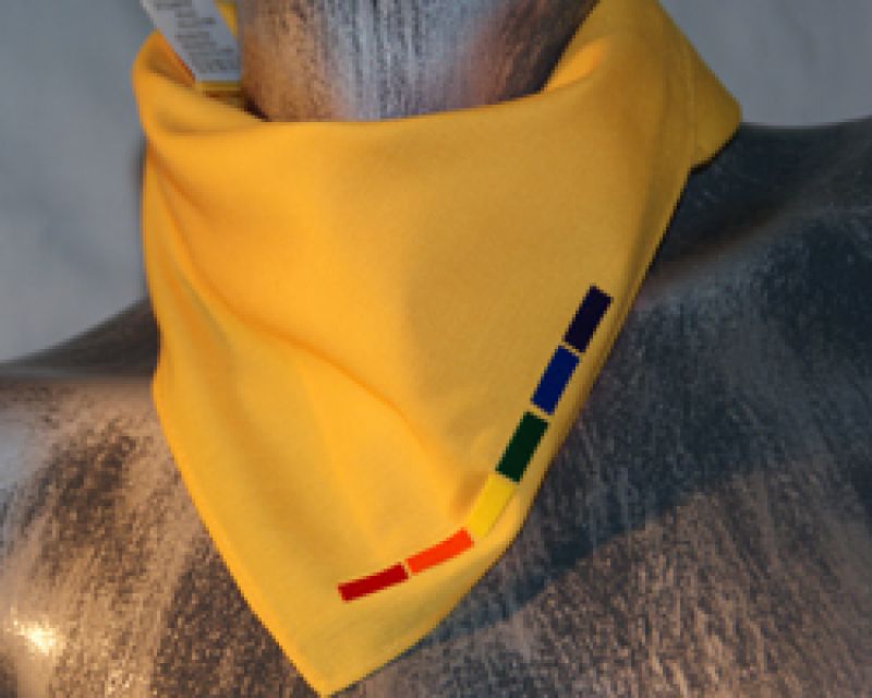 Regenbogenlinie - gelbes Bandana