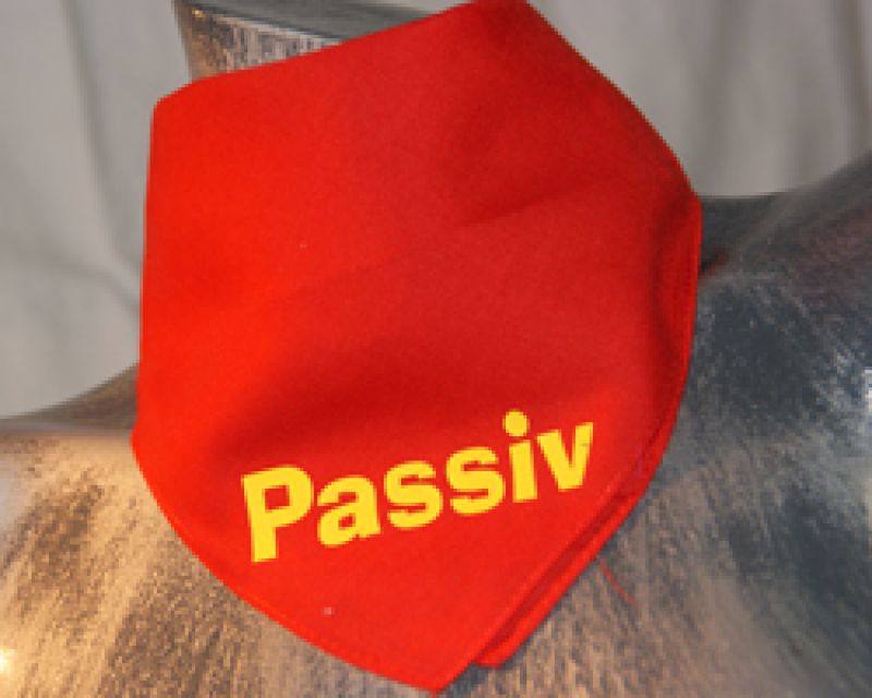 Passiv - rotes Bandana