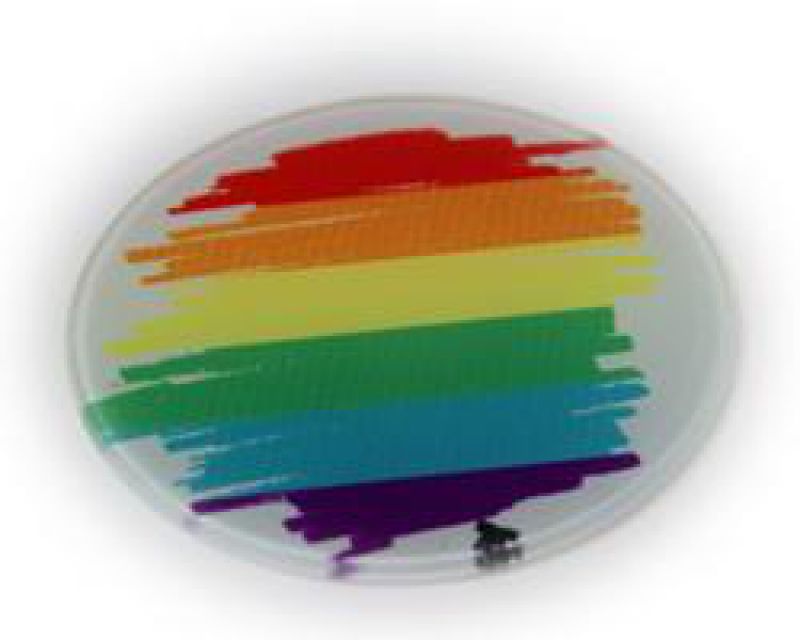 Regenbogen - rund