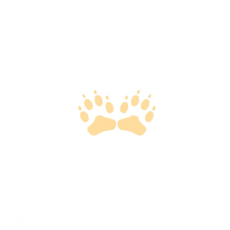 Tatzenpaar beige