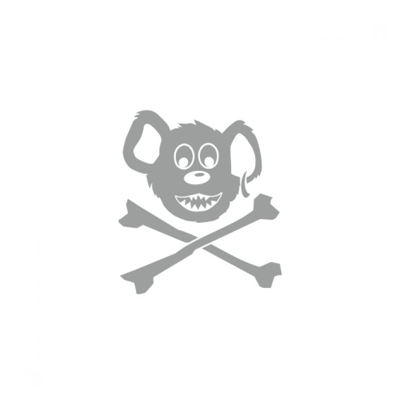 PiratenBär silber groß