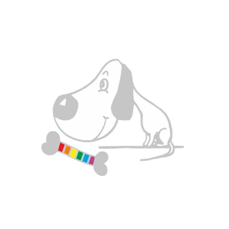 Hund silber mit Knochen