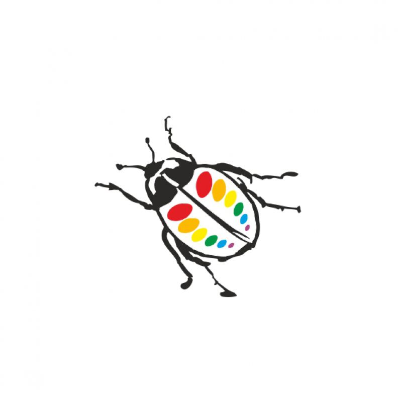 Käfer schwarz