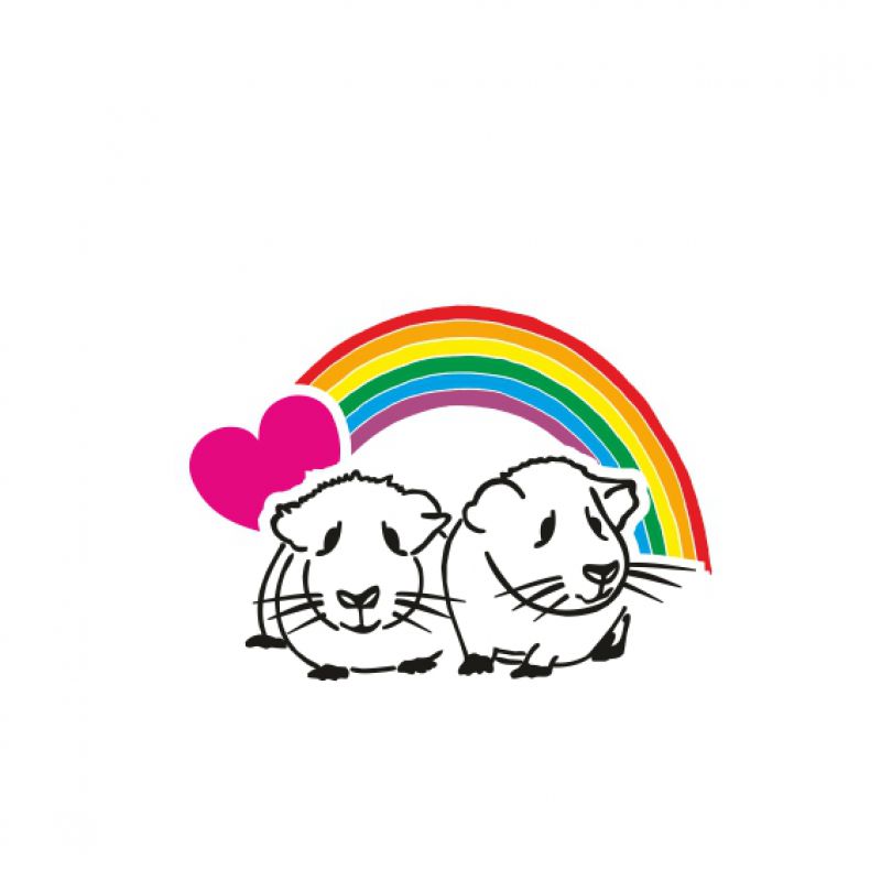 Meerschweinchen schwarz