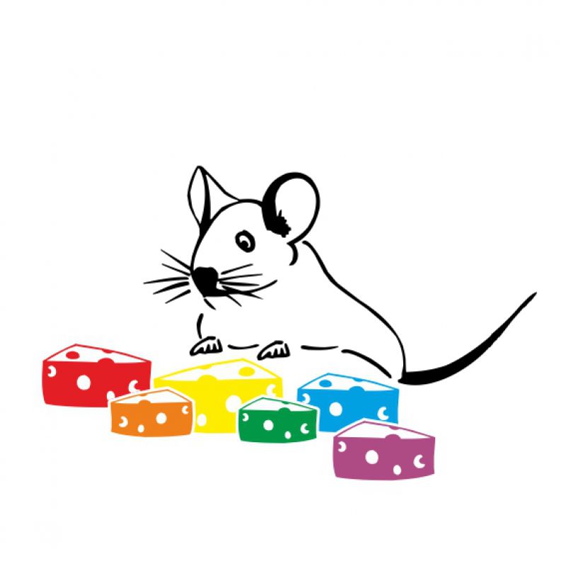 Maus mit Käse schwarz
