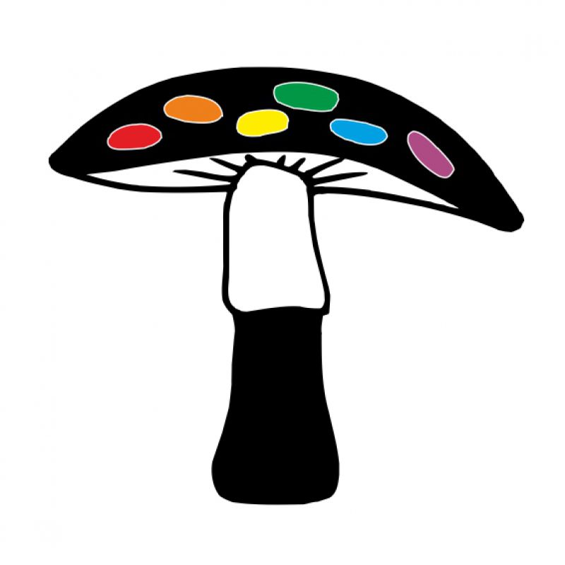 RegenbogenPilz schwarz