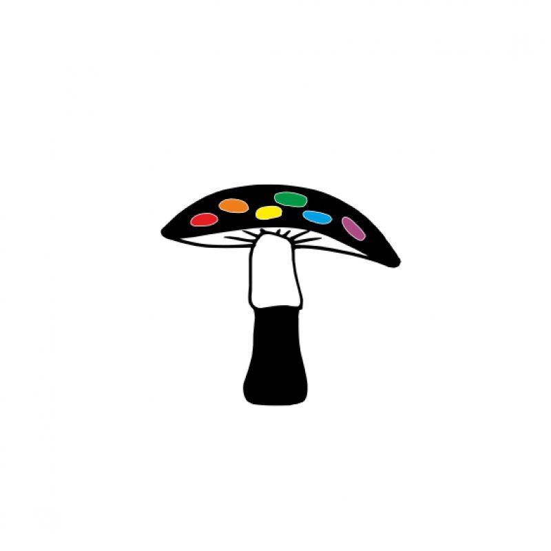 Fliegenpilz schwarz