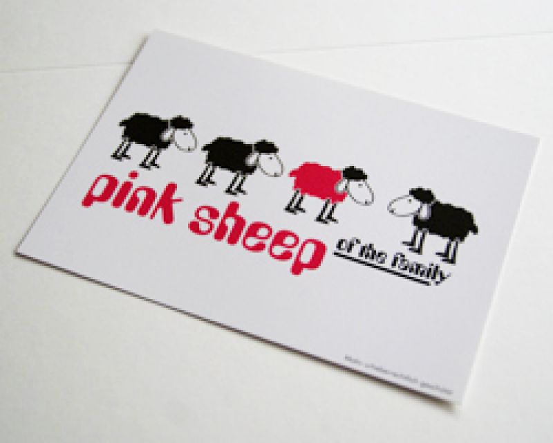 Pink Sheep