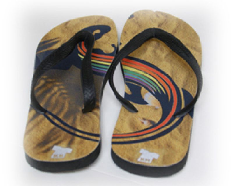 FlipFlop Echse