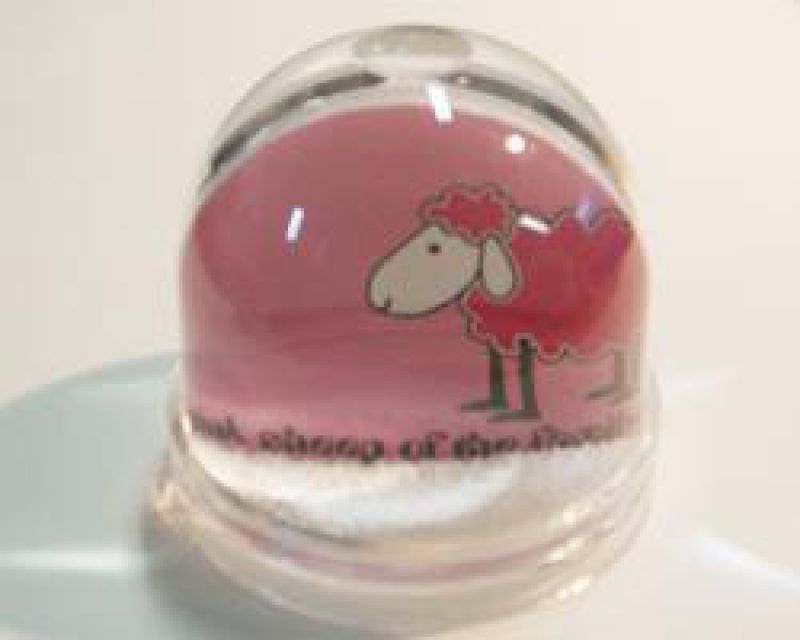Pink Sheep