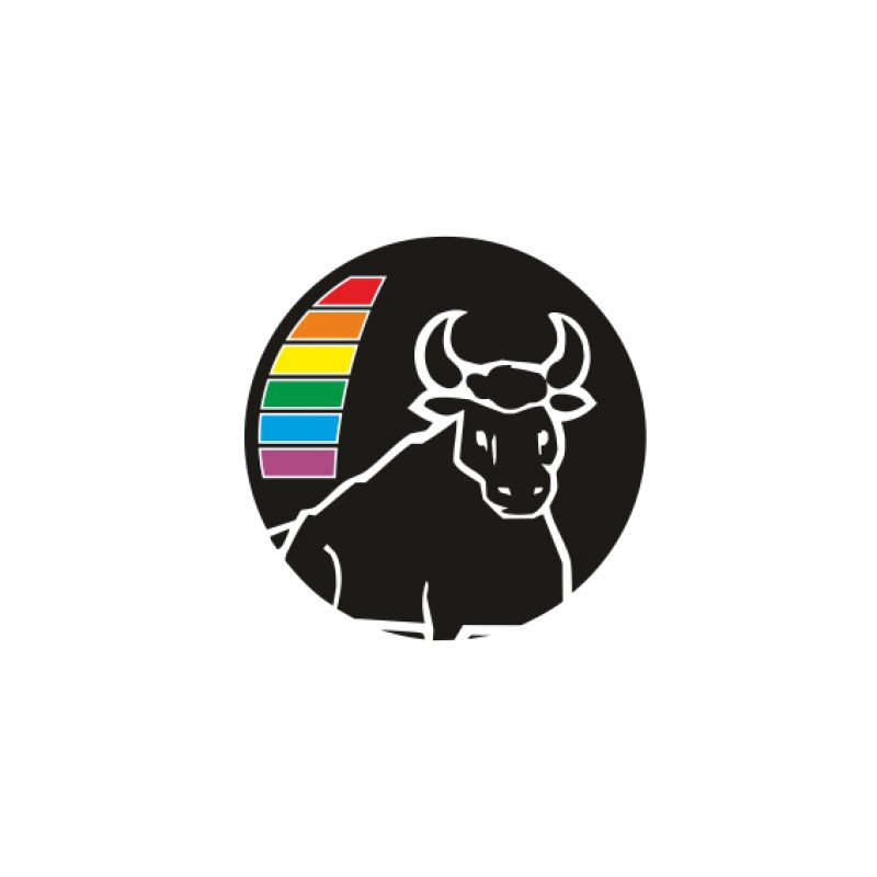 Stier schwarz