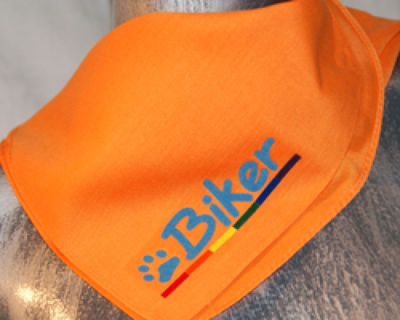 Biker - oranges Bandana