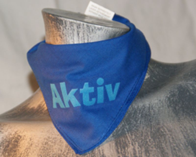 Passiv - royalblaues Bandana