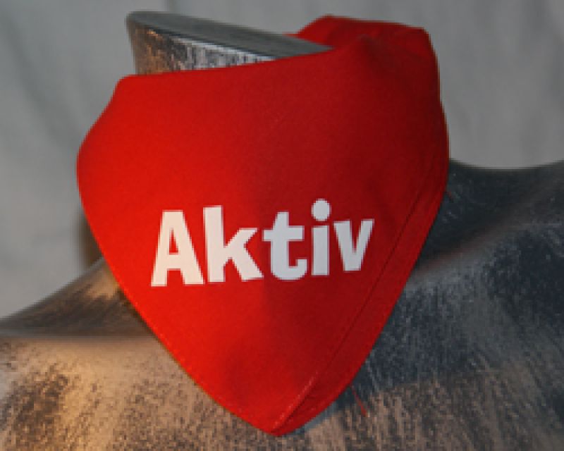 Aktiv - rotes Bandana
