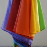 PortierSchirm